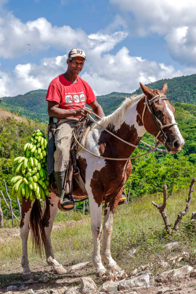 Cuban Man Riding a Horse with Bananas, in Cuba