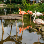UNESCO Biosphere Reserve, Cuba
