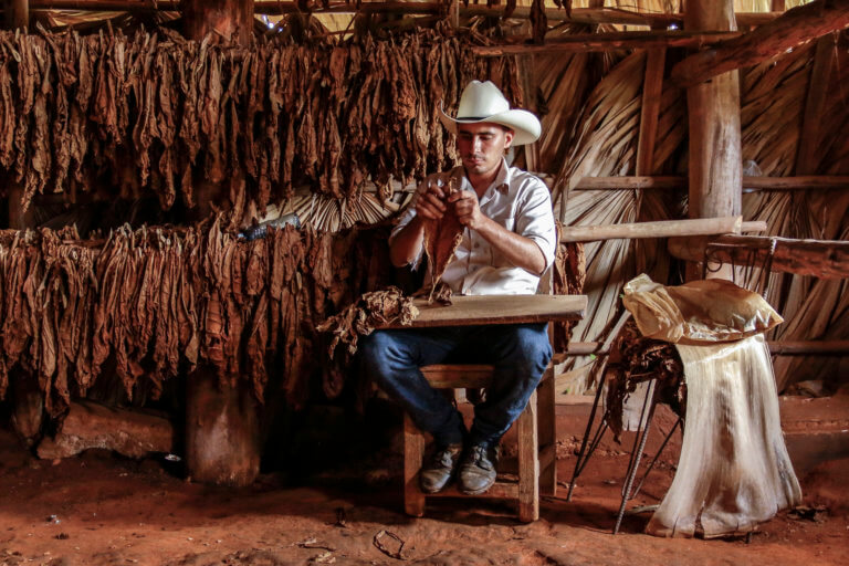 Man rolling a Cigar in Rural Cuba