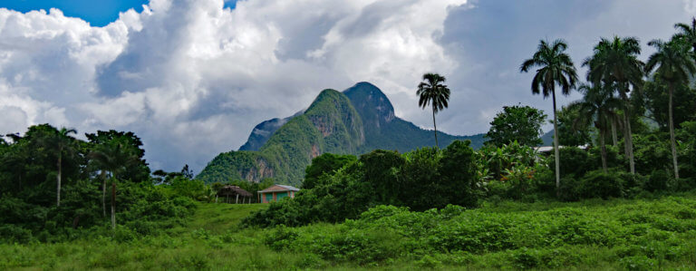Mountains and palm trees at Mil Cumbres, Cuba