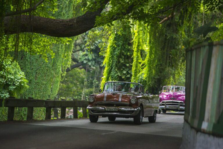 Tour of Havana in a vintage American classic car