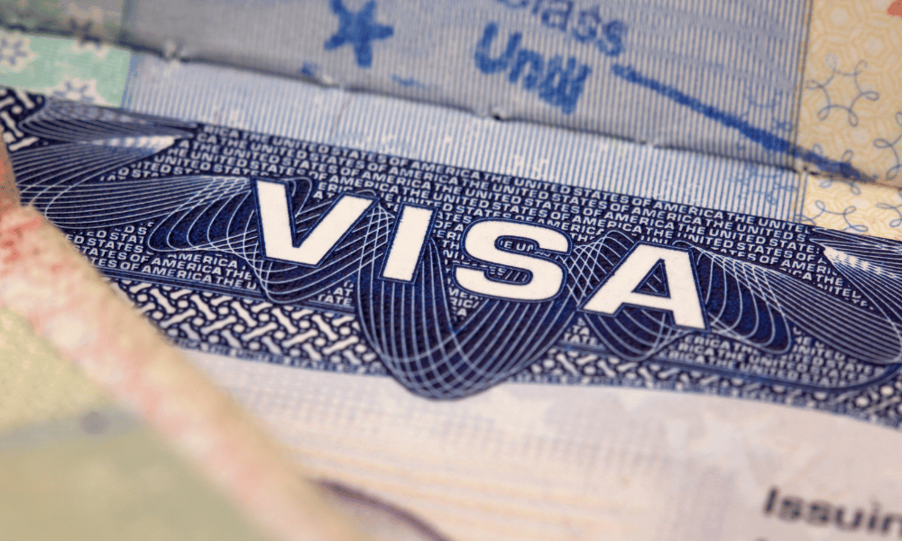detail of a USA visa document